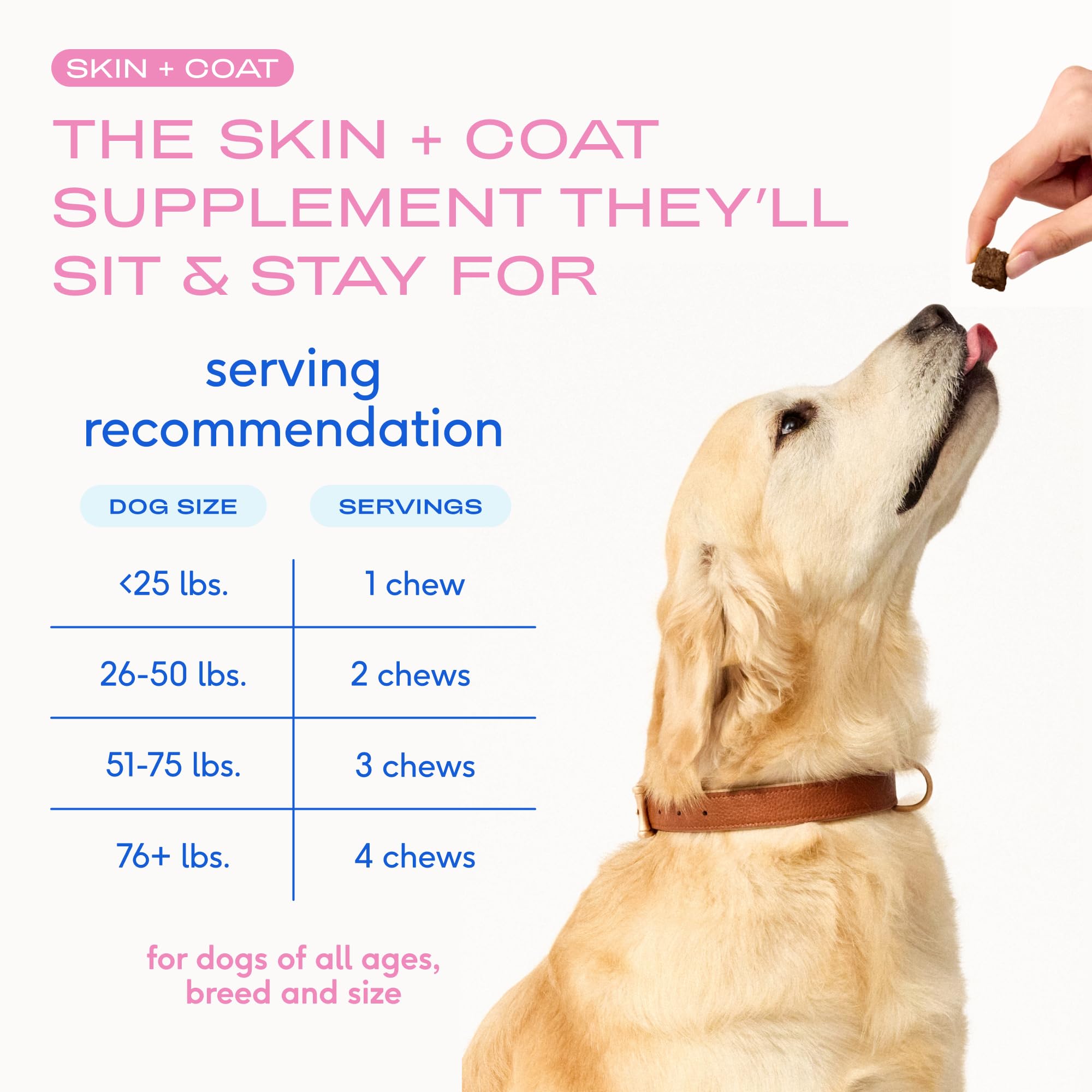 Native Pet Omega Skin and Coat Chews for Dogs - Dog Skin and Coat Supplement for Healthy, Shiny Fur, Reduce Shedding and Dry Spo