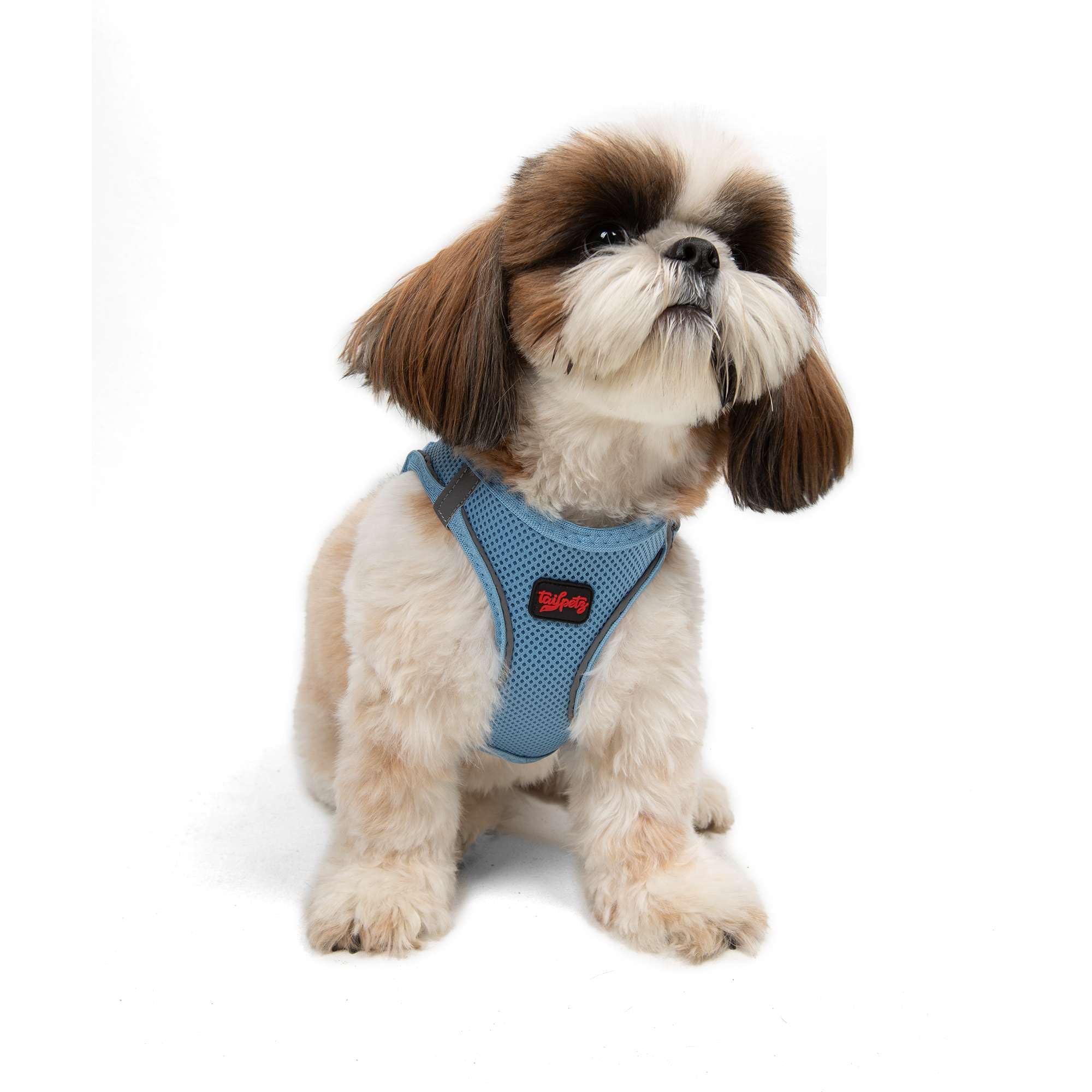 Tailpetz Blue Dog Harness Small Sized Dogs, Adjustable No Pull Step in Harness for Small Dog, Reflective Puppy Harness for Puppy
