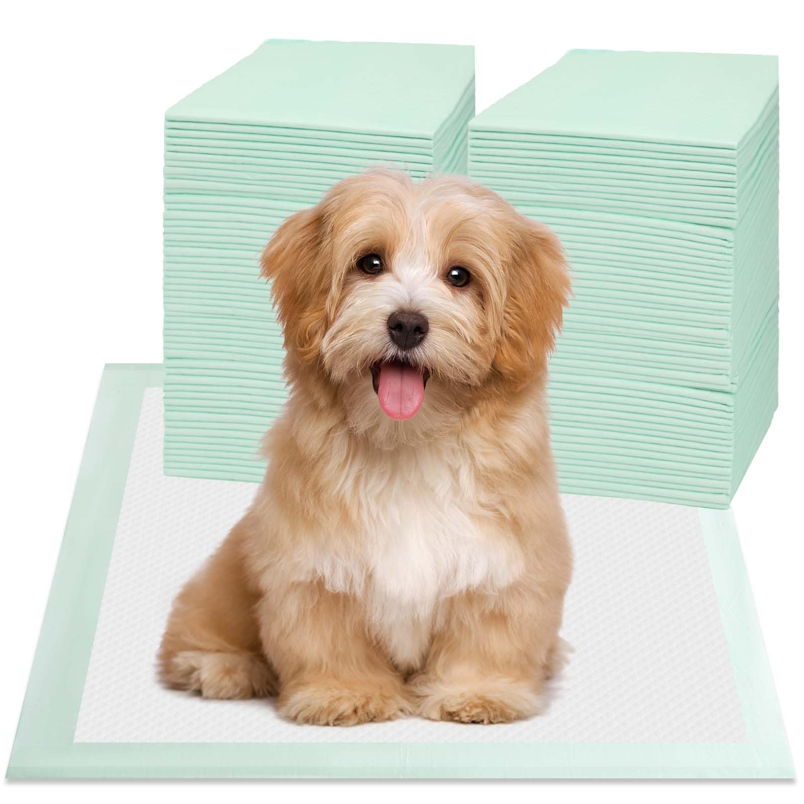 Puppy Pee Pads 100PCS Disposable Pet Toilet Training Pads 18 x 13 for Dogs, Ultra Absorbent|Quick Dry|Leak-Proof Pet Potty Pads 