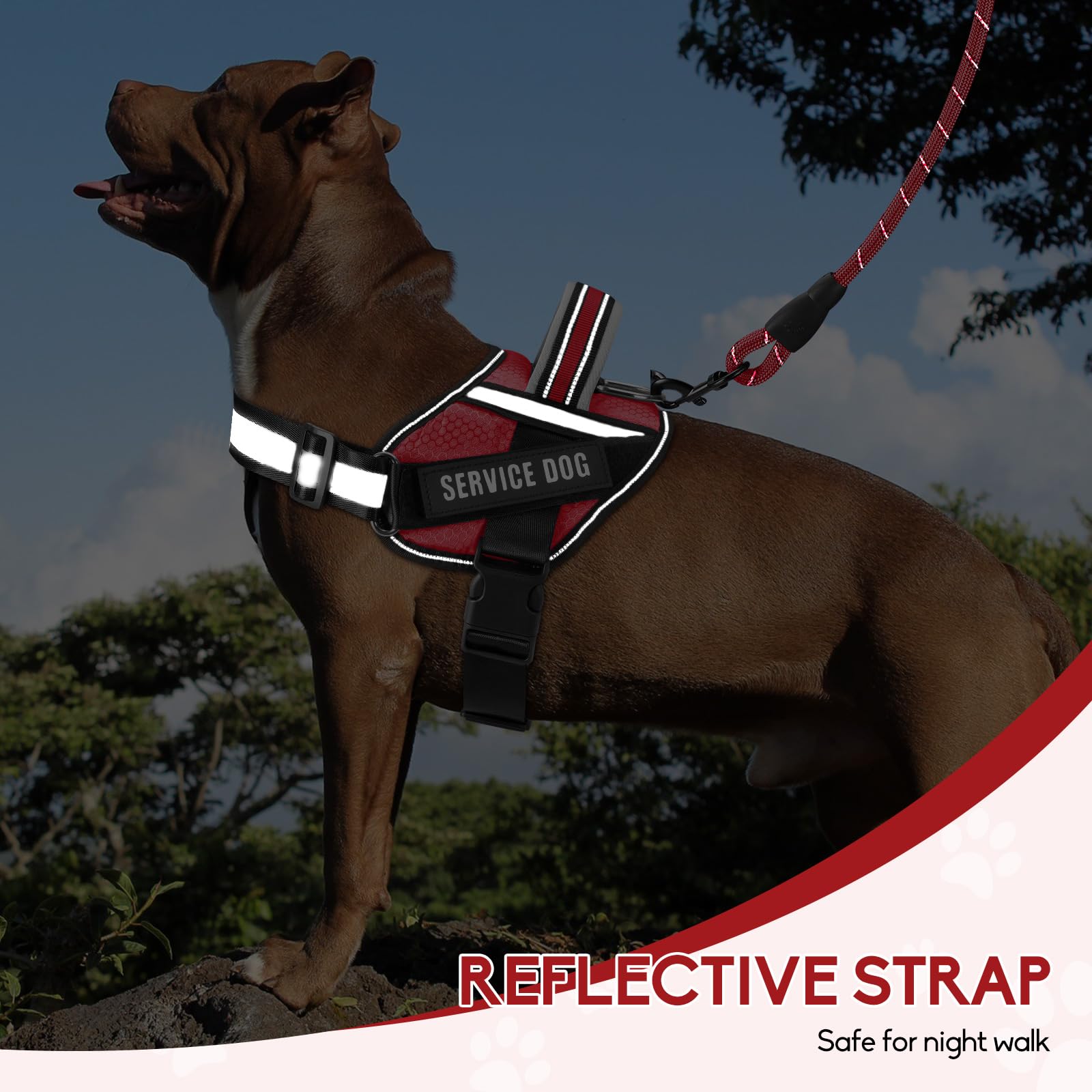 Service Dog Vest Harness And Leash Set, Animire In Training Dog Harness With 8 Dog Patches, Reflective Dog Leash With Soft Padded Handle For Small, Medium, Large, And Extra-Large Dogs (Red,M)