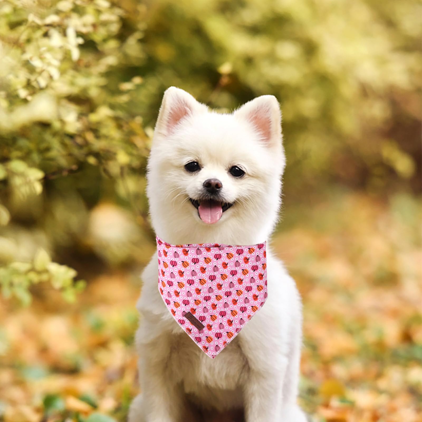 Halloween Pumpkin Dog Bandana, Halloween Triangle Bid Scarf With Pumpkin Pattern, Cotton Pet Kerchief For Girl Boy Dogs Or Cats,