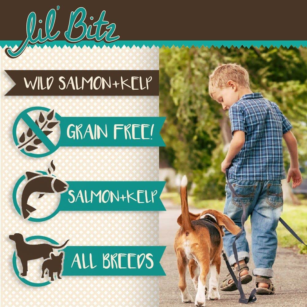 Lil Bitz Training Treats for Dogs and Cats (1 Pack, All Dog Sizes - Wild Salmon + Kelp)