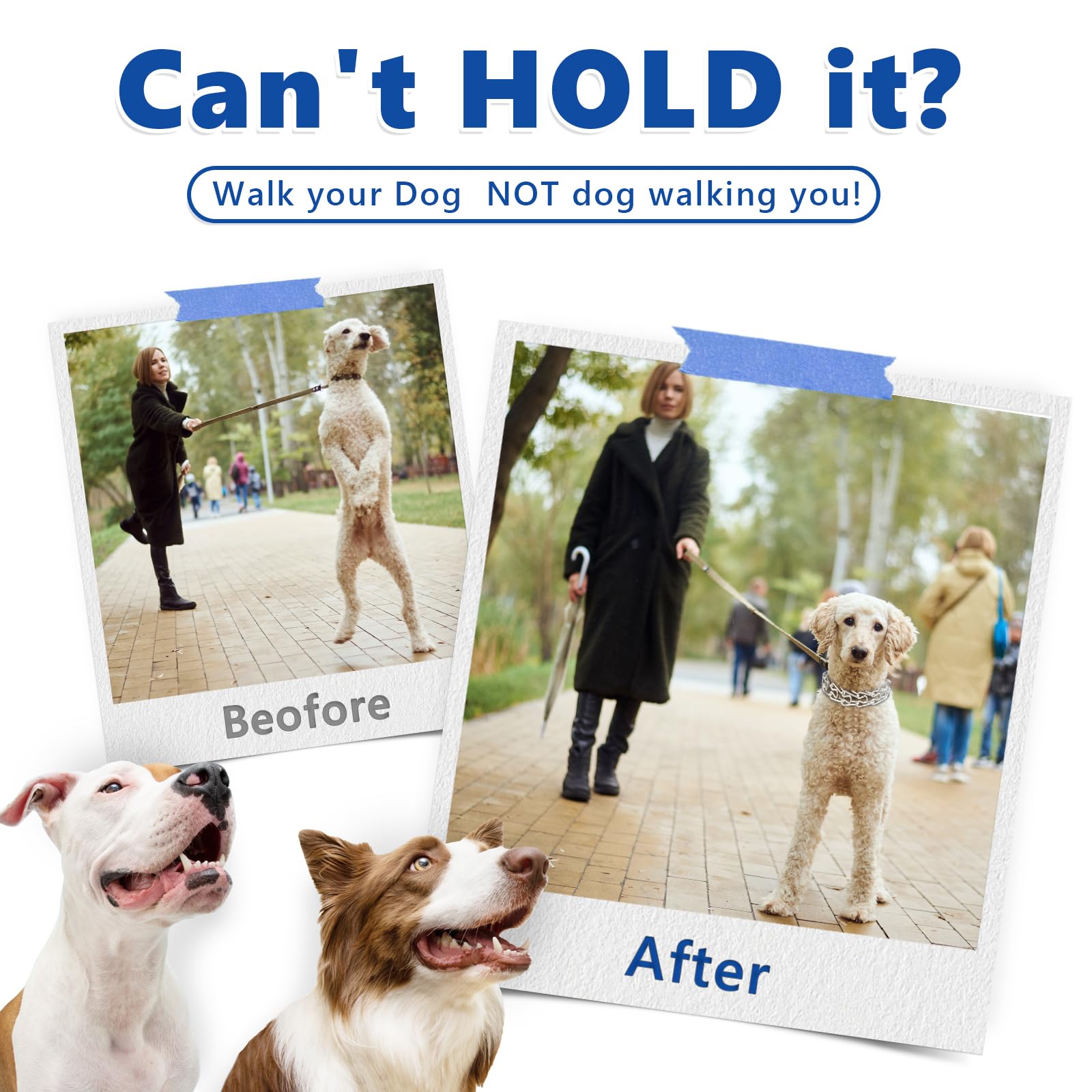 Supet Prong Collar For Dogs Training Collar, Adjustable Pinch Collar With Quick Release Buckle For Small Medium Large Dogs, No P