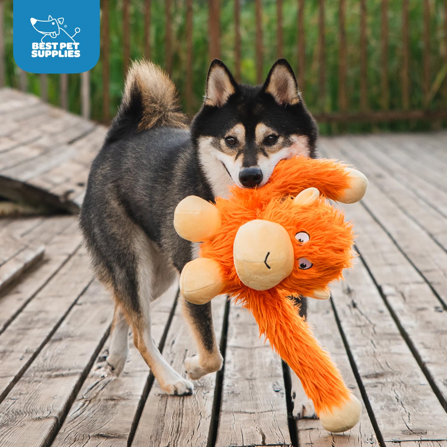 Best Pet Supplies O-Hug-Atan Interactive Squeaky Plush Toy For Small And Medium Breed Puppies Or Dogs - O-Hug-Atan (Orange)