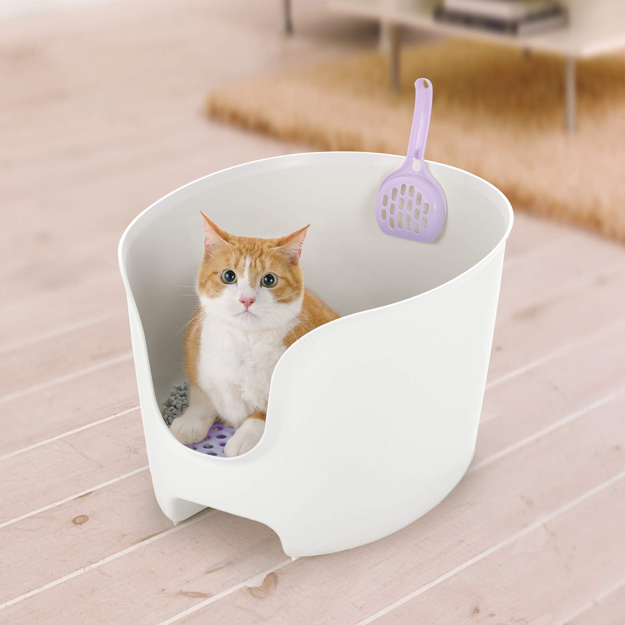 Richell Paw Trax High Wall Cat Litter Box In White/Lavender, High Sides Cat Litter Box With Scoop | Richell Paw Trax High Wall Litter Box: Anti-Spray/Splash-Free Large Litter Box With Scoop