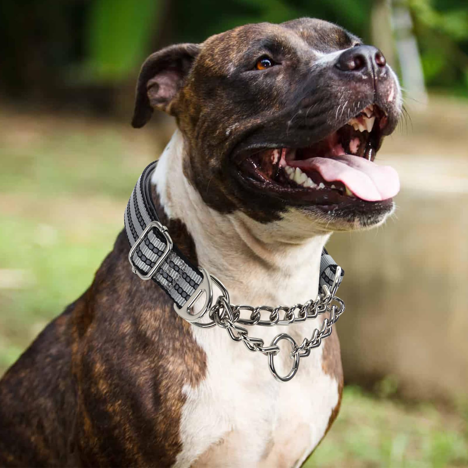 Martingale Collar With Steel Chain,Reflective Nylon Dog Collar With Soft Padded Adjustable Training No Slip Dog Collars (Xxl Sil