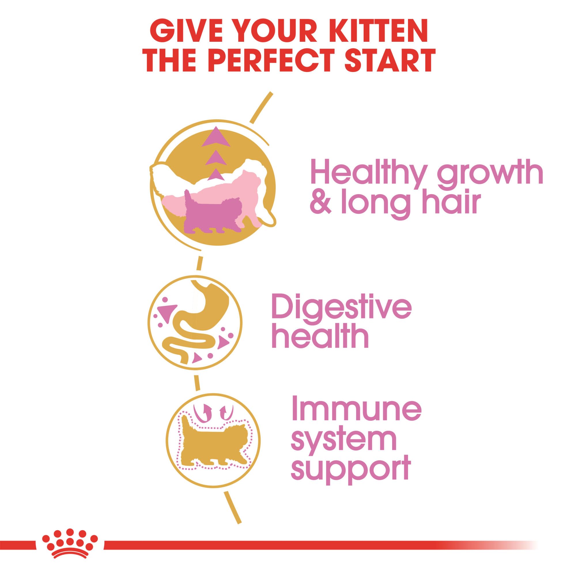 Royal Canin Persian Breed Dry Kitten Food, 3 lb.