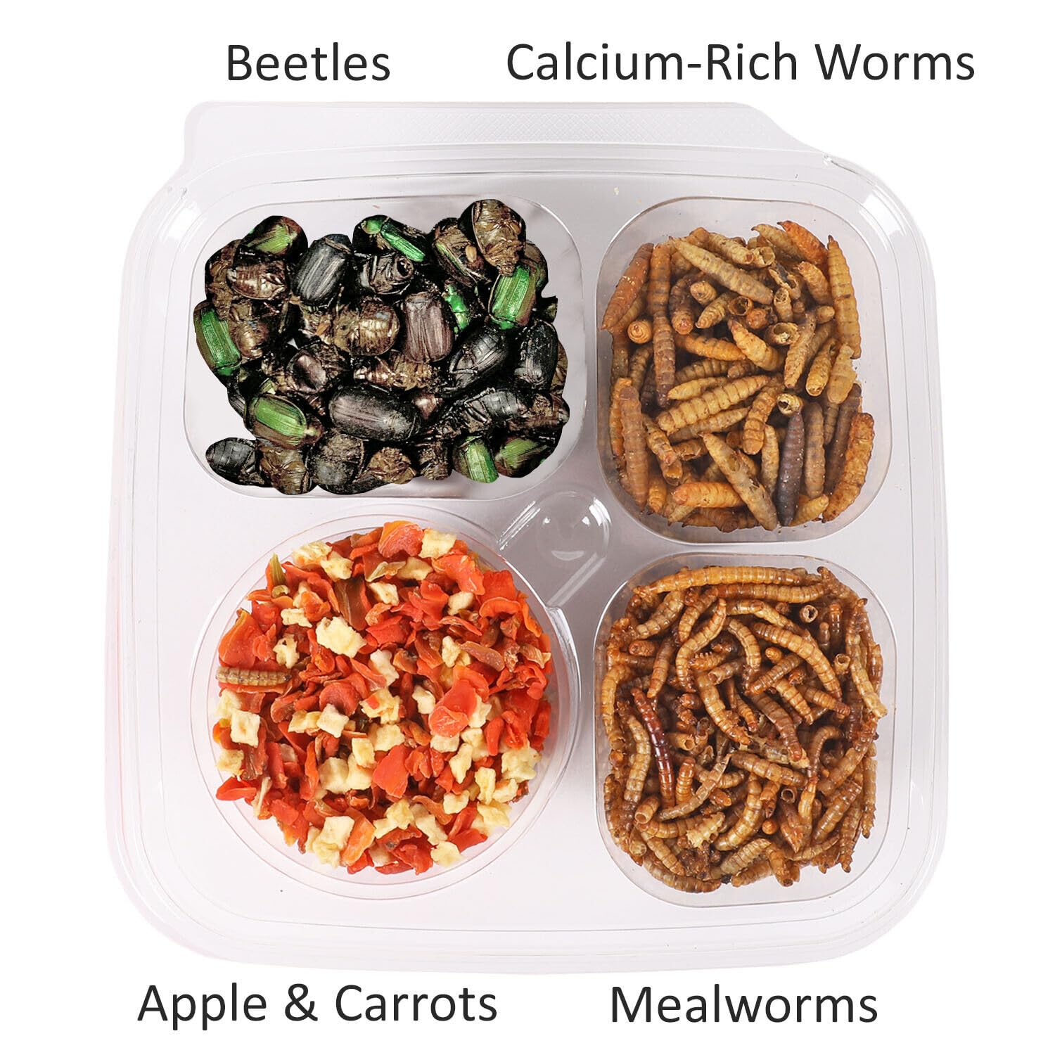 Hedgehog Treat Variety Pack - Healthy Natural Treat Assortment - Dried Mealworms, Dried Black Soldier Fly Larvae, Dried Crickets