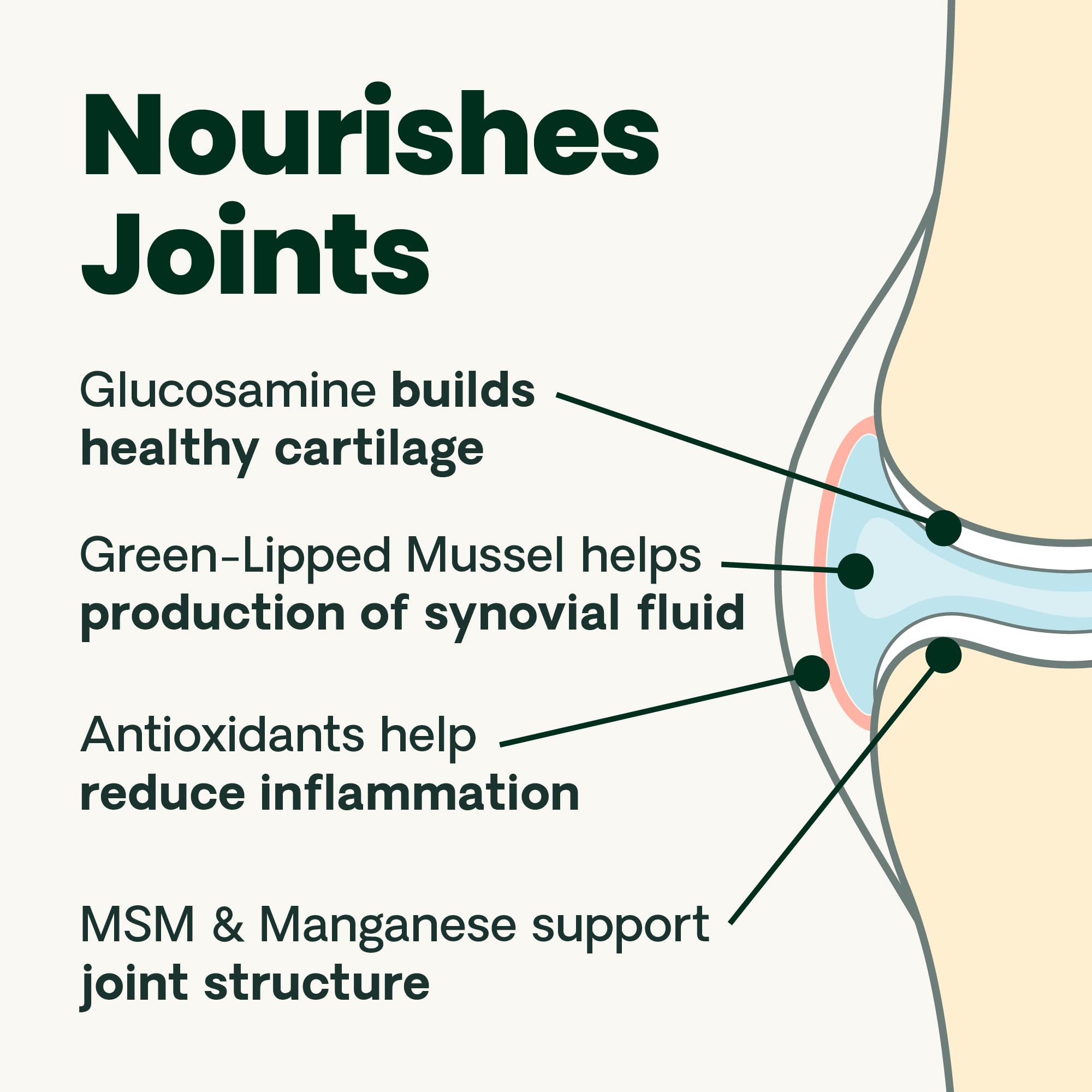 VetriScience Ultimate Strength Healthy Hip & Joint Chews, GlycoFlex Glucosamine, Chondroitin and Green-Lipped Mussel Joint Suppl