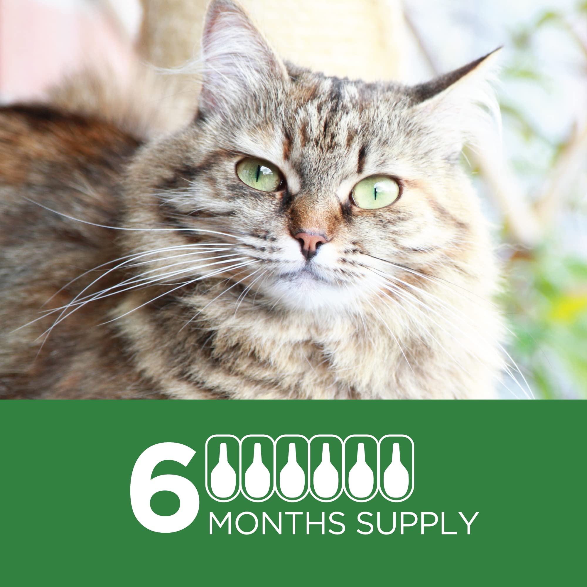 Tevrapet Actispot Ii Flea Treatment For Large Cats 9+ Lbs  6 Doses  Powerful Prevention And Control
