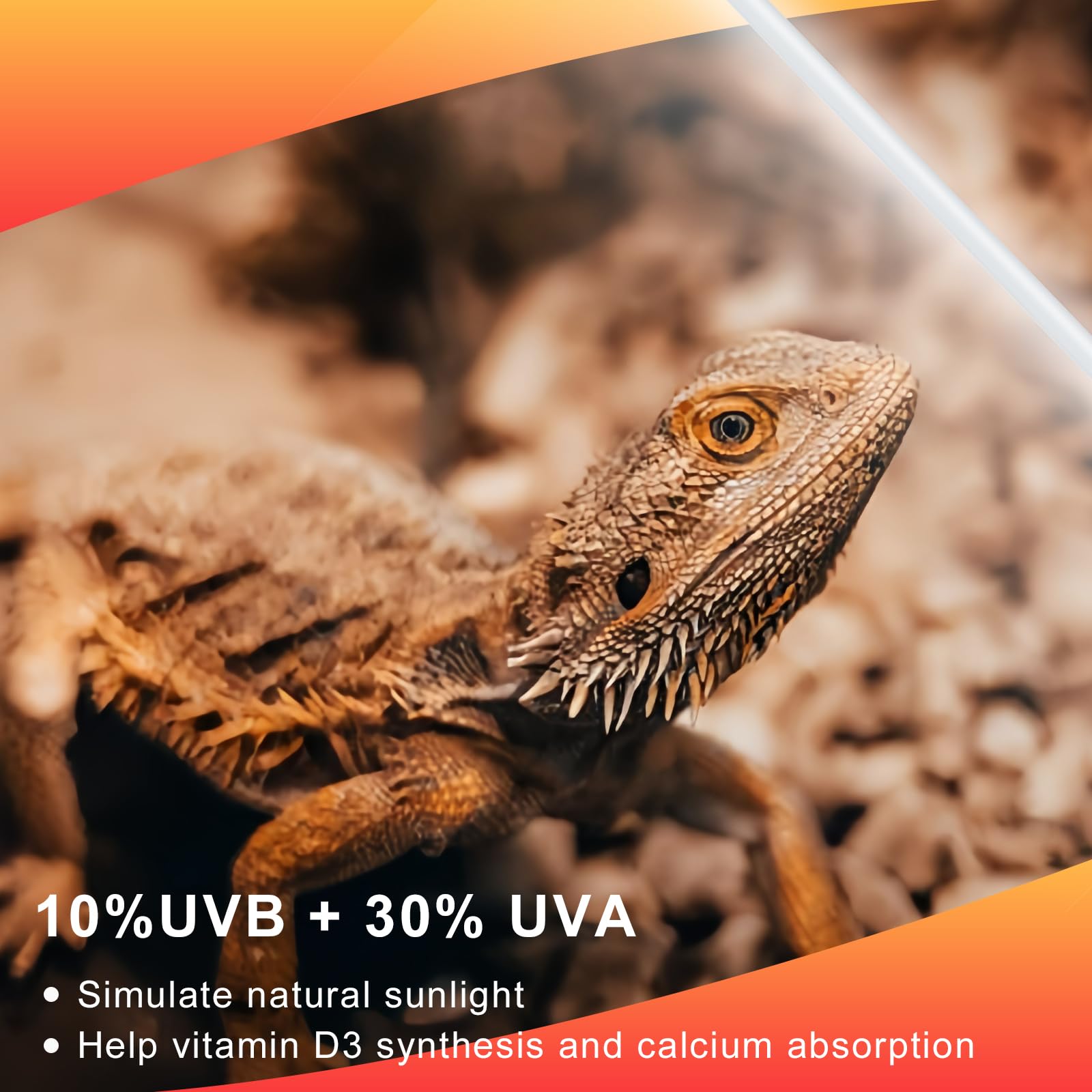 LUCKY HERP 2 Pack T5 UVB 10.0 Reptile Light 24W, UVA UVB Fluorescent Lamp Tube, UVB Lighting Bulb for Turtles, Chameleon, Tortoi