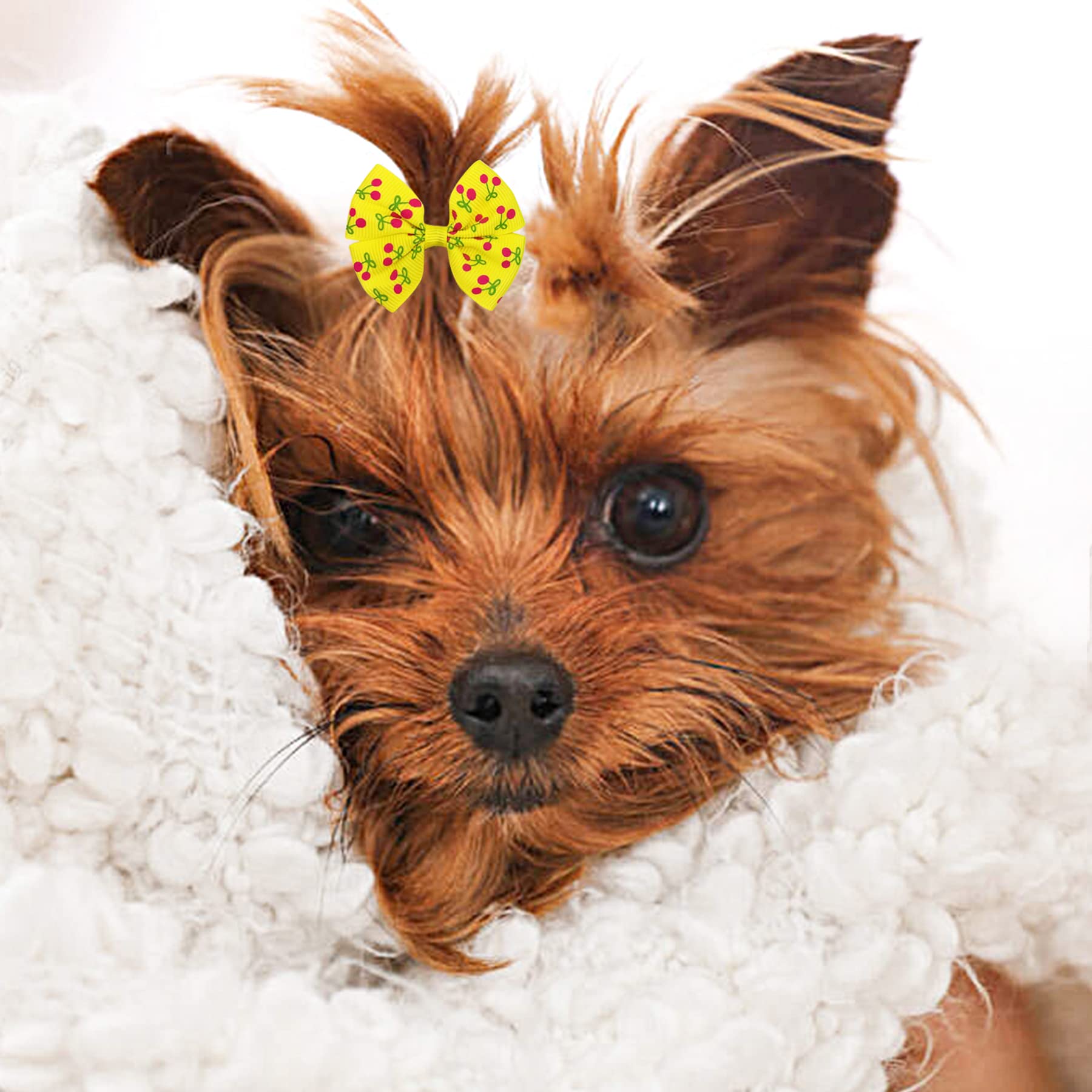PET SHOW 20pairs Big Bowknot Dogs Hair Bow Clips with French Barrette Clip for Small Medium Large Dogs Puppies Cats Topknot Groo