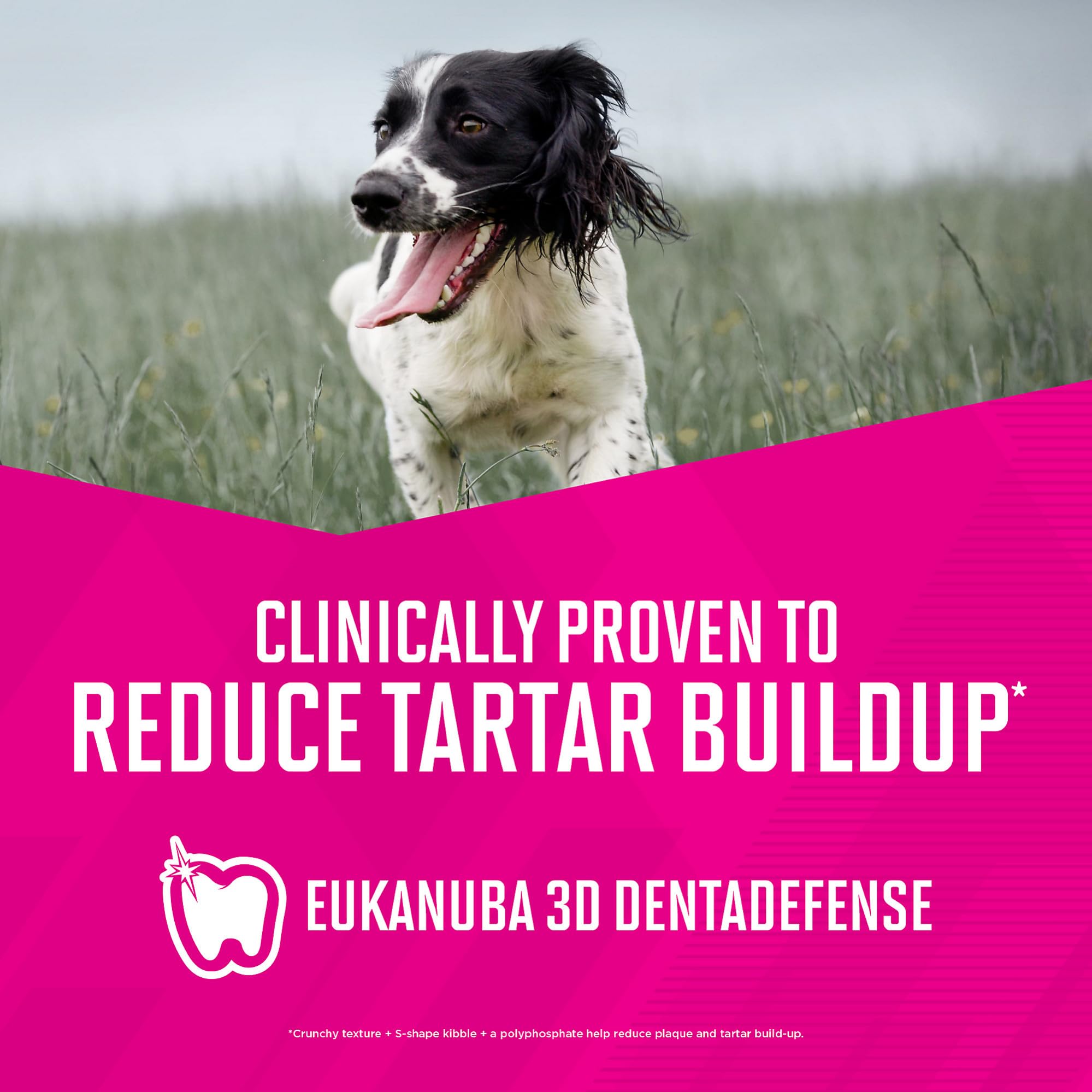 EUKANUBA Adult Small Bites Dry Dog Food, 40 lb