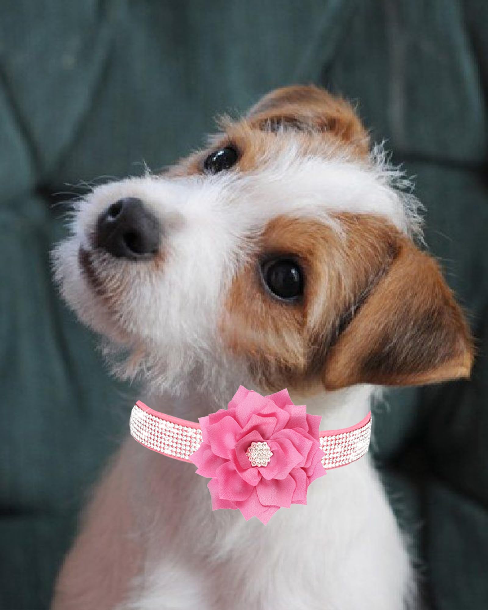 Jufoo Rhinestone Dog Collar for Small Medium Dogs Pink XS Dog Collar for Girl Female Dogs Flower Puppy Collar for Summer Spring