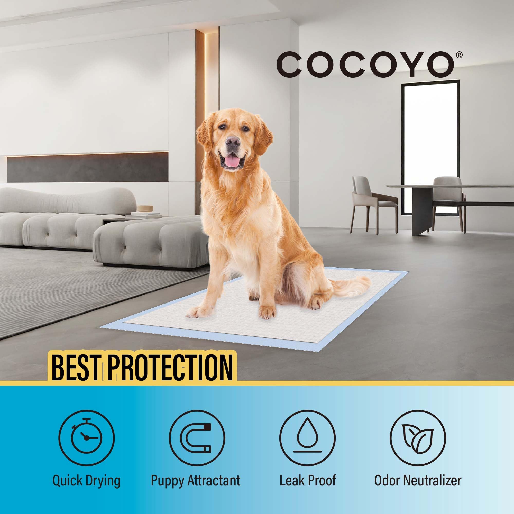 COCOYO Best Value Training Pads, 28 by 34 XL, 80 Count,Blue and White