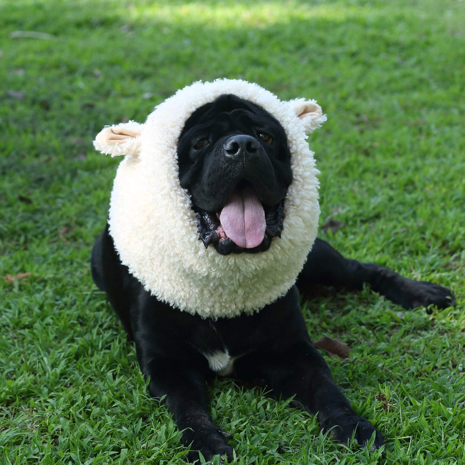 Onmygogo Funny Sheep Pet Costumes For Dog, Cute Furry Pet Wig For Halloween Christmas, Pet Clothing Accessories (Sheep, Size L)