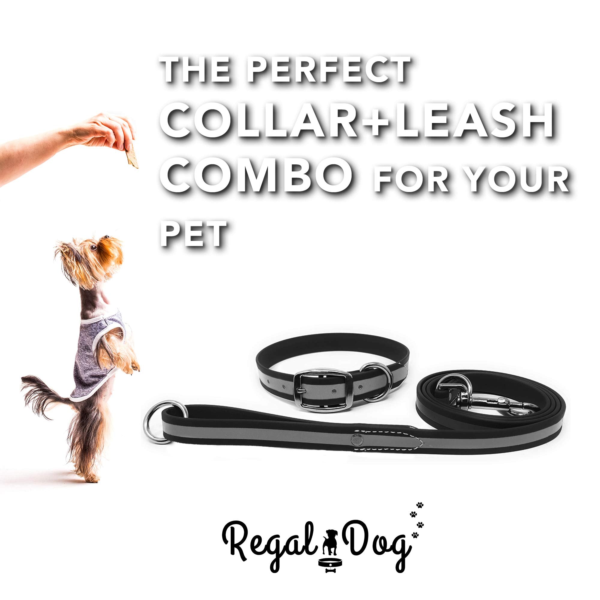 Regal Dog Products Large Black Reflective Dog Collar And Leash Set - Waterproof Biothane Dog Collar With Heavy Duty Double Buckl