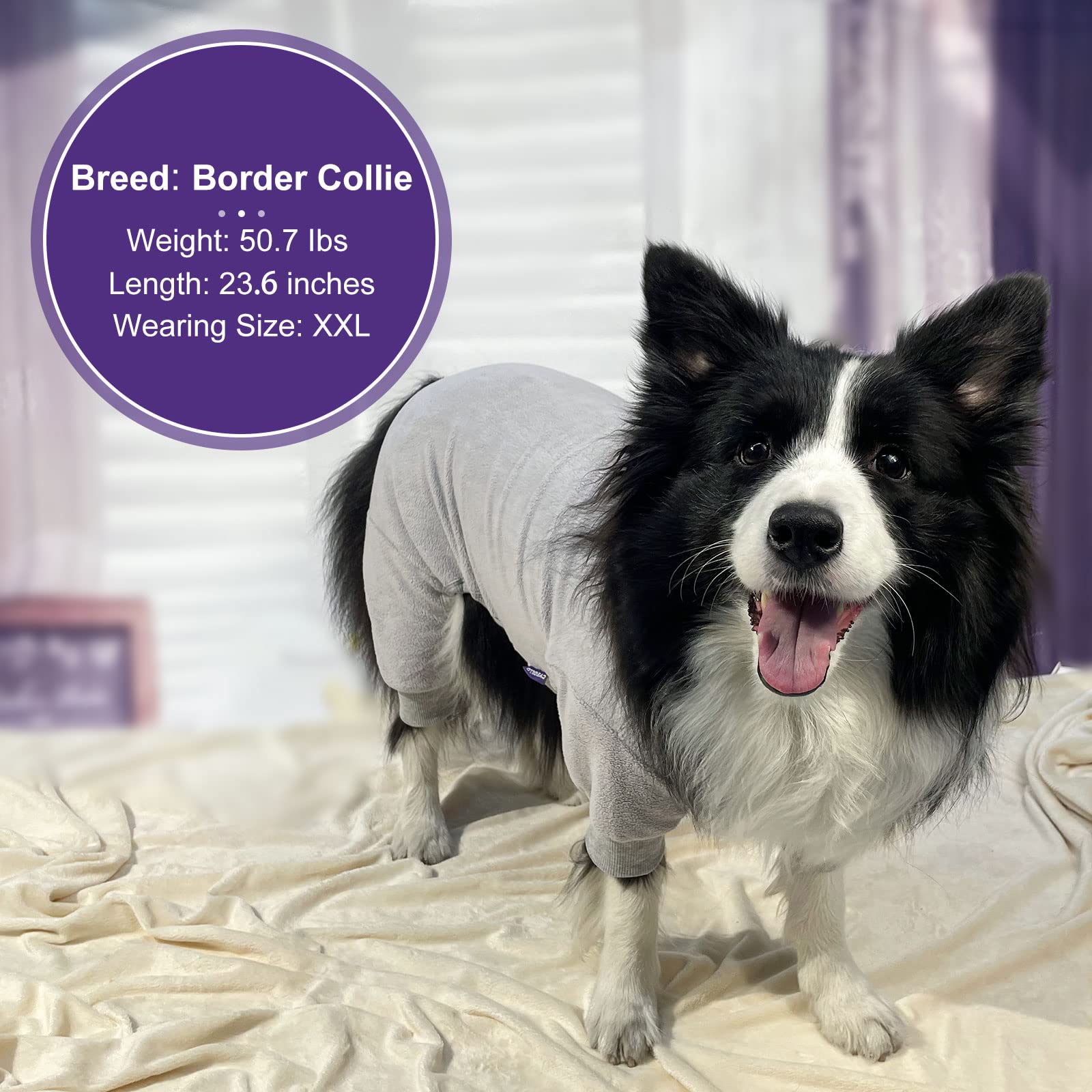 Cyeollo Dog Pajamas Turtleneck Thermal Dog Pjs Fleece Stretchy Jumpsuit Warm Dog Clothes Doggie Medium Dog Pajamas Outfits For Winter Color Grey