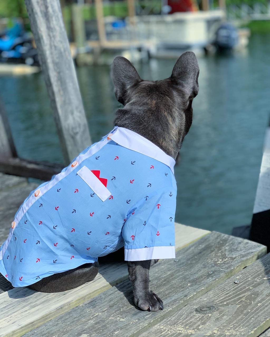 Parisian Pet Dog Clothes Cat Apparel Outfits Anchor Shirt & Hanky, M