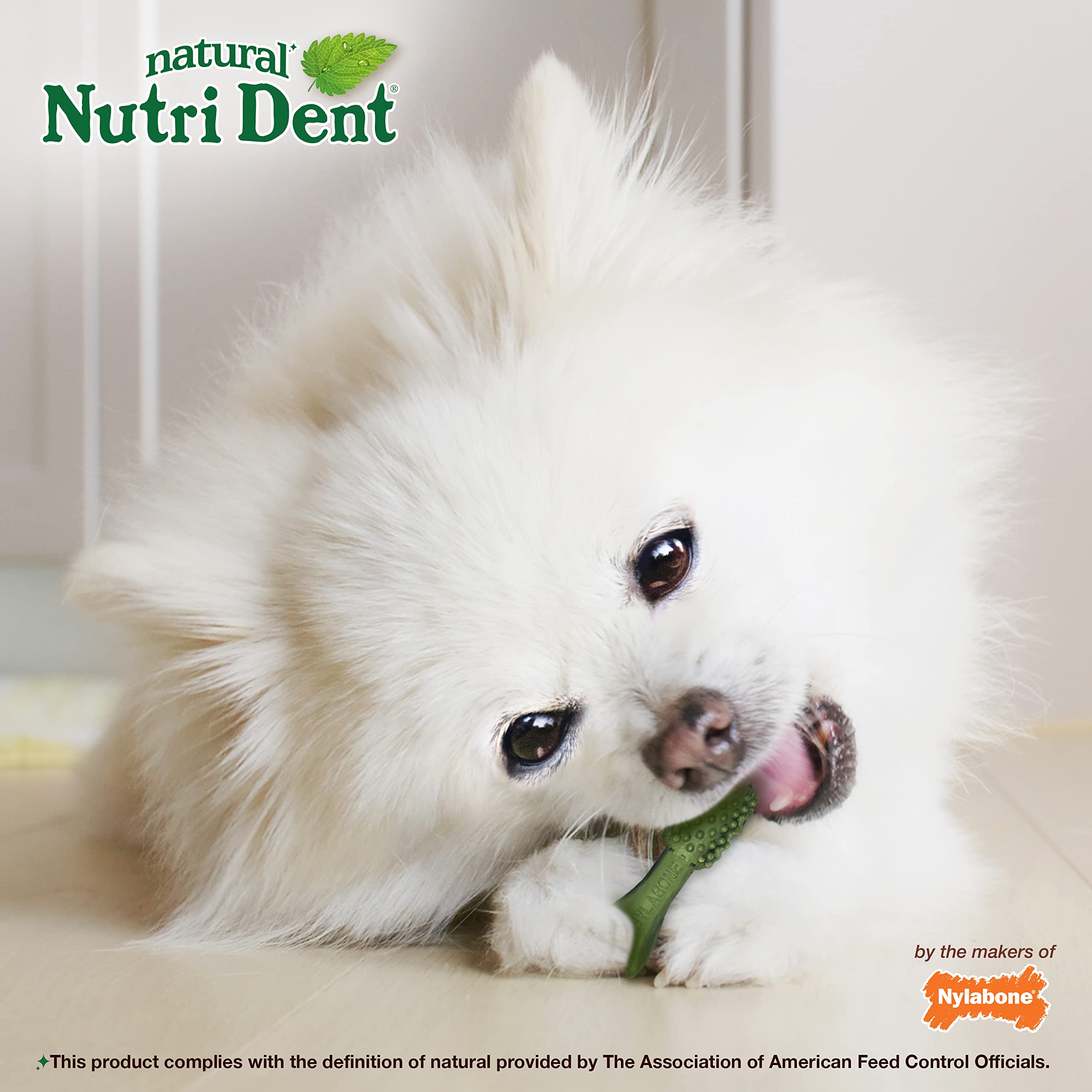 Nylabone Nutri Dent Natural Dental Fresh Breath Flavored Chew Treats Mini (78 Count)