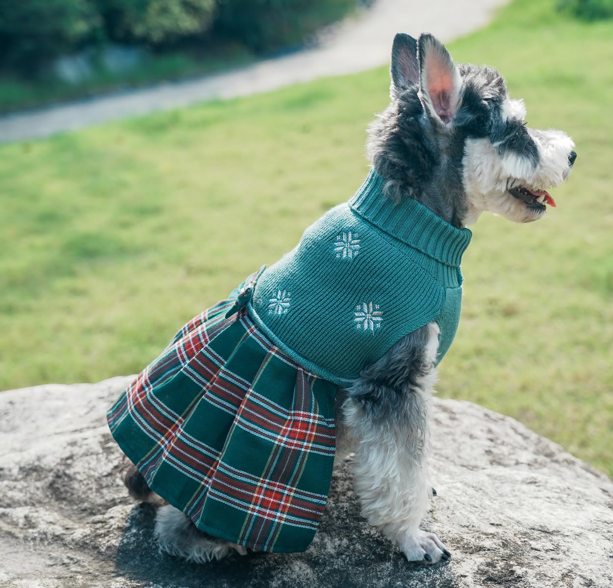 Green Embroidery Snowflake Chihuahua Clothes, Holiday Festive Christmas Dog Sweater Dress For Girl Puppy, Plaid Cat Outfit, X-Small (Xs) Size Back Length 9'