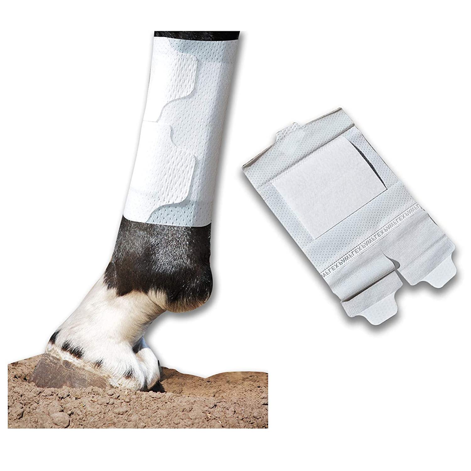Equine BandaFlex Non-Adhesive, Disposable, Washable and Reusable Bandages (Large)