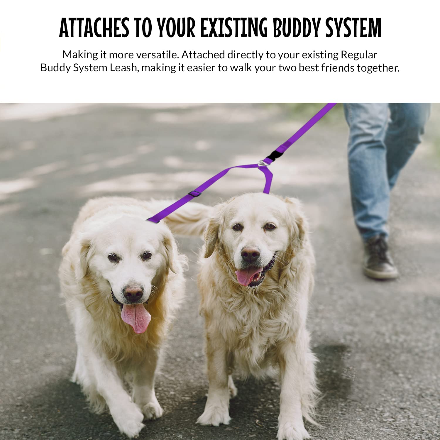 The Buddy System Accessories For Our Dog Leashes Made In Usa (Double Buddy, Regular Dog Purple)