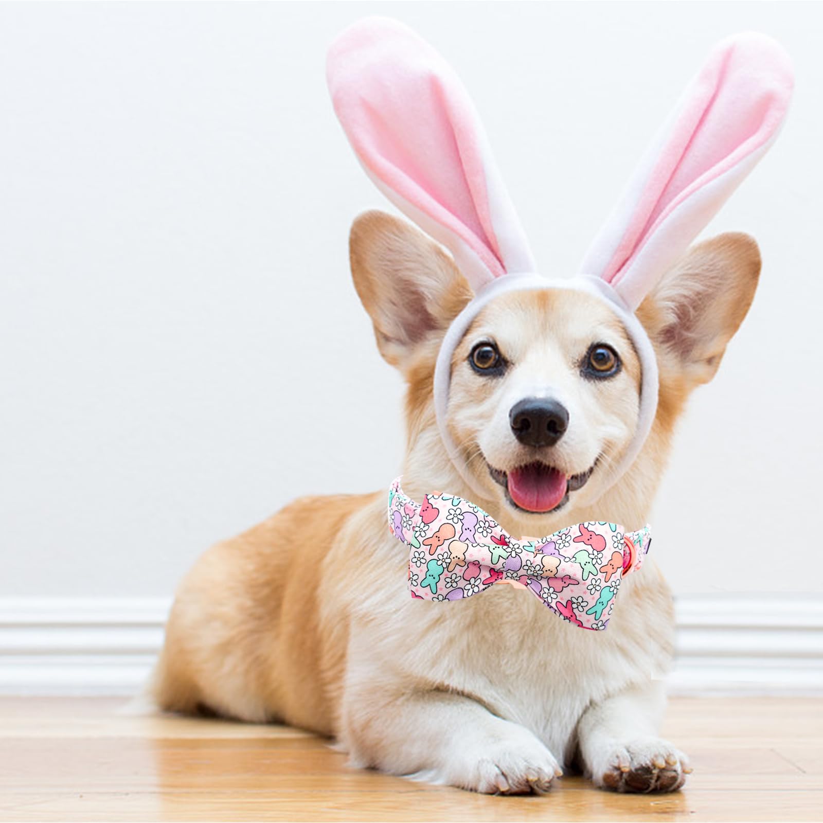 Lionheart Glory Easter Day Dog Collar With Bowtie For Small Dogs & Rabbits