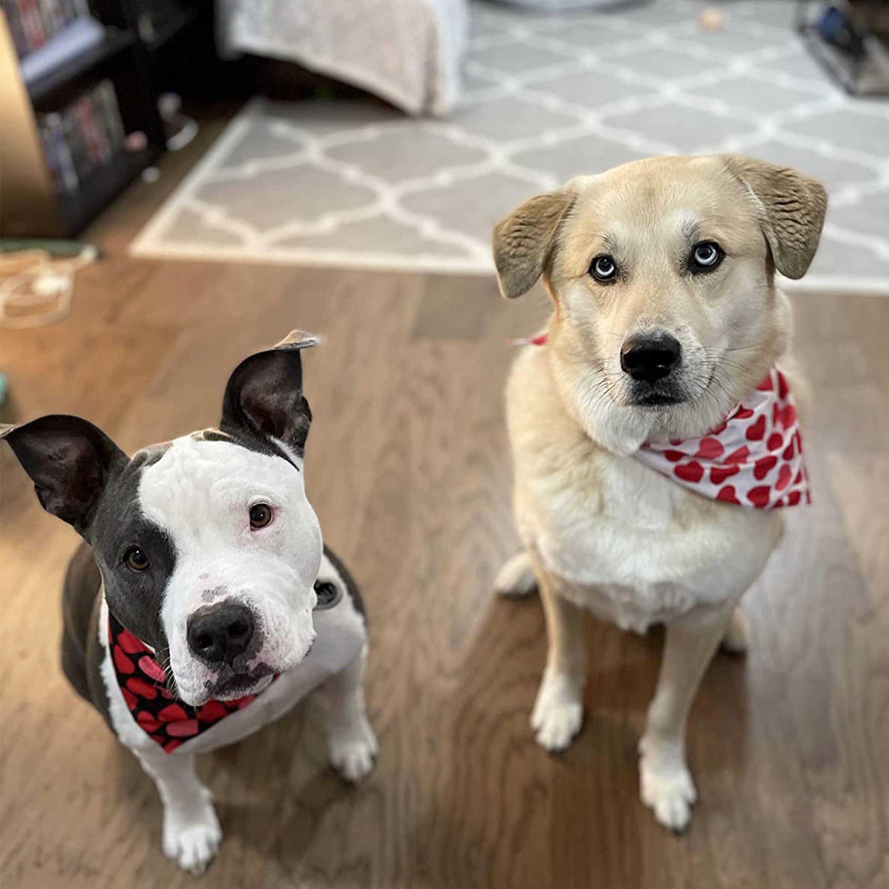 Ptdecor Valentine Dog Bandana, Multi Size, Reversible Triangle Bibs Scarf Valentine Bandanas For Medium Large Dogs (Large)