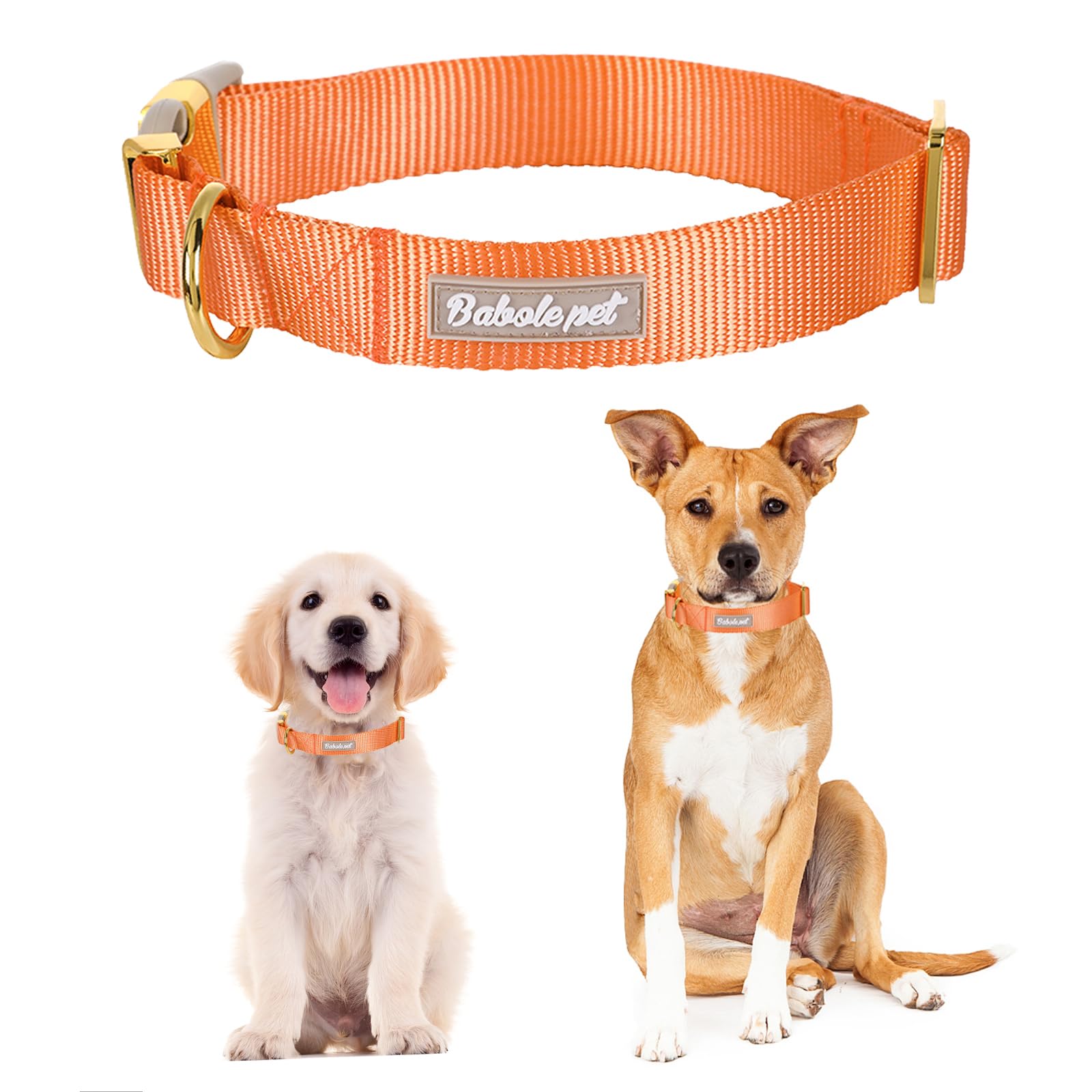 Babole Pet Nylon Dog Collar - Adjustable Orange Soft Webbing Dog Collars For Small Medium Large Dogs Boy Girl Puppy Collar With