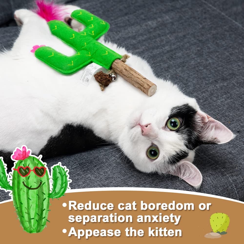 Paz'S Gift Cat Chew Toy Catnip Organic Cat Bite Toy Indoor Interactive Cat Kick Stick For Cats Silvervine With Feather Cat Stick Cute Plush Cactus