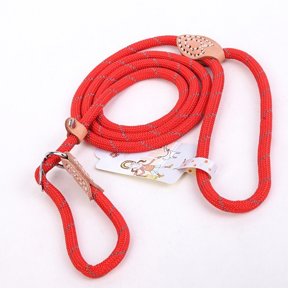 Coolrunner Durable Dog Slip Rope Leash, 5 Ft Dog Training Leash, Strong Slip Lead, Standard Adjustable Pet Slipknot Nylon Leash For Small Medium Dogs(10-80 Lb) (Red 2)