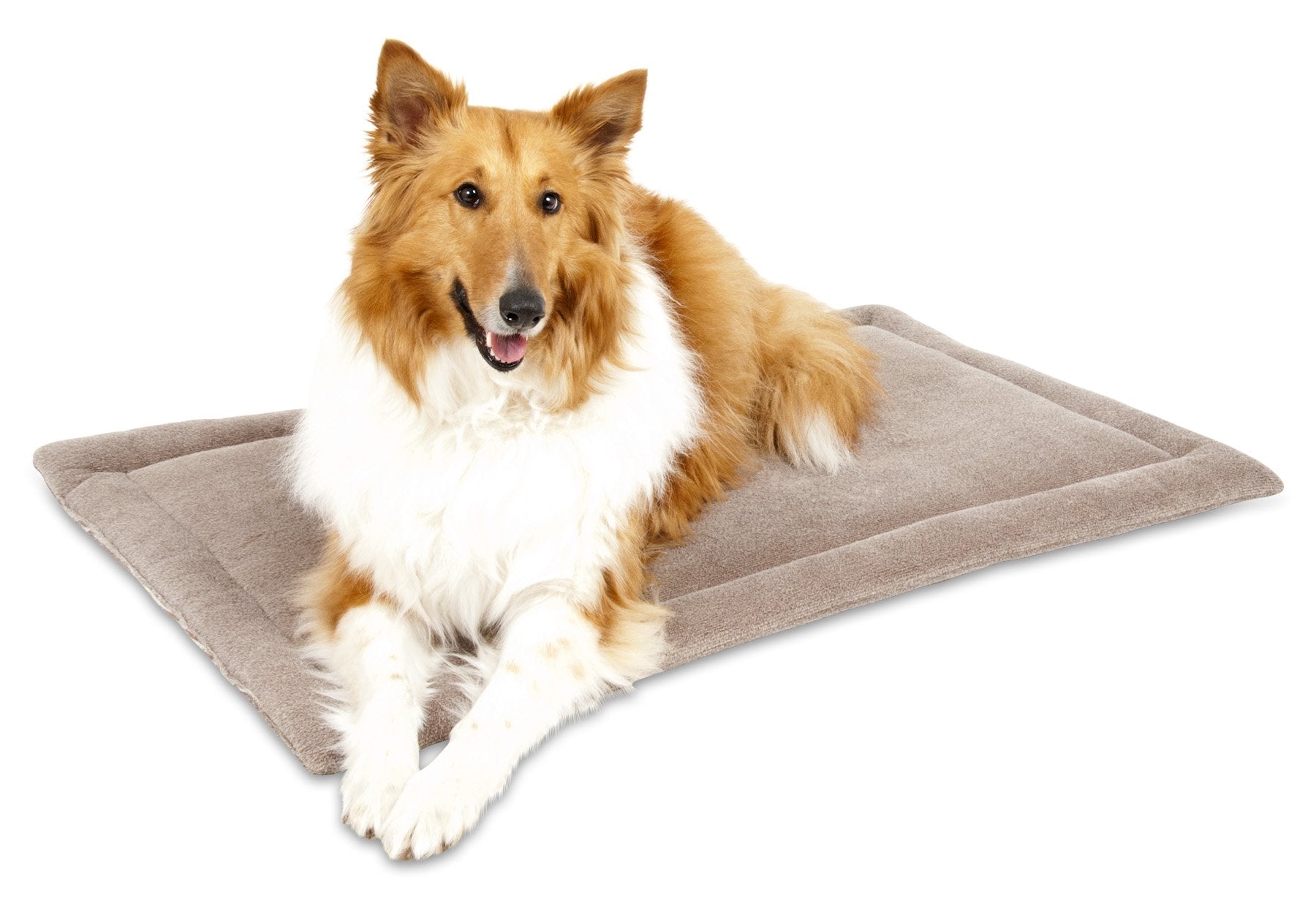 Petmate Aspen Pet Rectangular Kennel Mat, Dark Gray, for 40 Crates