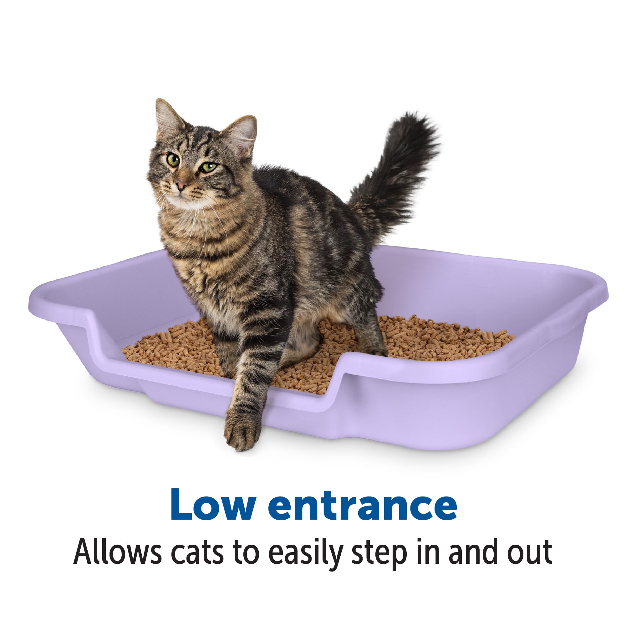 Kittygohere Senior Cat Litter Box 1 Pack, Large Storybook Lavender Low Entrance Kitty Litter Box, Sized For Cats Comfort, Perfect For Senior And Arthritic Cats, Made In Usa
