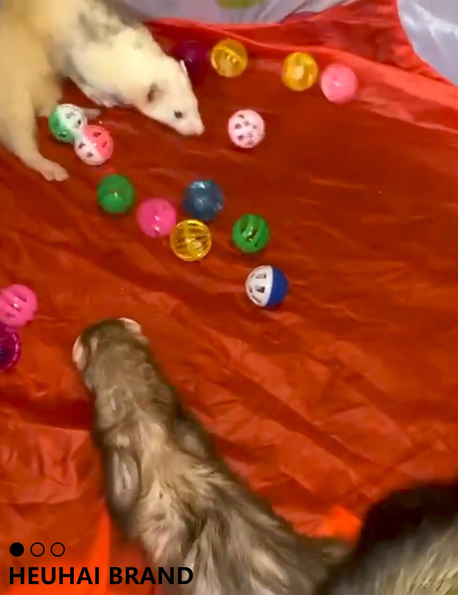 10-Pack Resilient Ferret Toys, Colorful Teething Balls, Bells, Interactive Stimulation, Easy-Clean For Oral Health (1.5'' - 2.7'