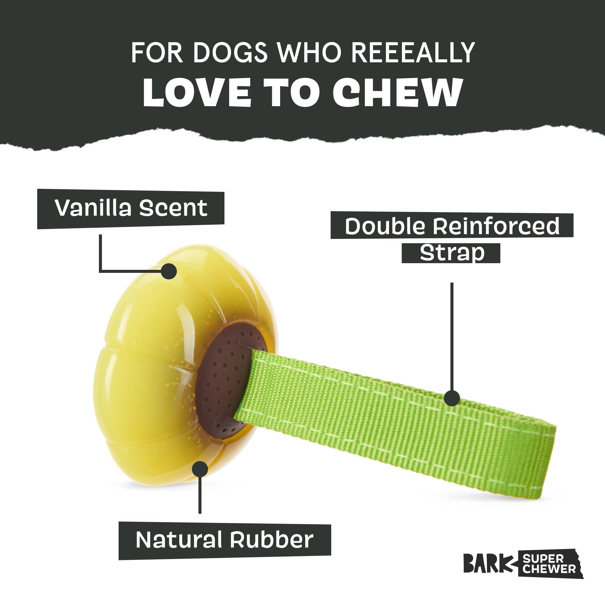 Barkbox Bark Sun Power Tug Rope Toy For Dogs & Puppies - Medium