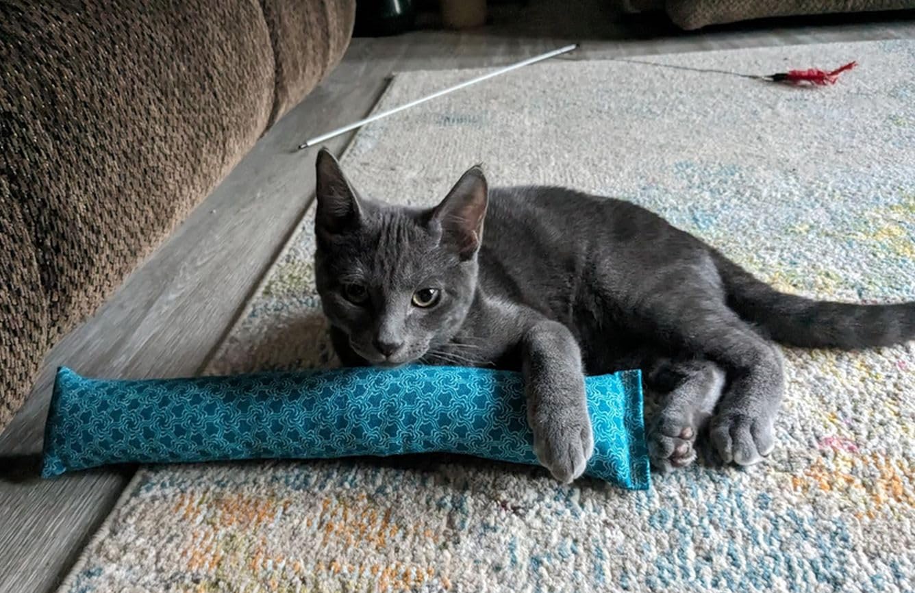 West Coast Pet Products 15'' Catnip Cat Kicker Toys/Kitty Kick Sticks/Cat-Nip Kick Sticks (Emerald Green) (Kickers Filled With 1