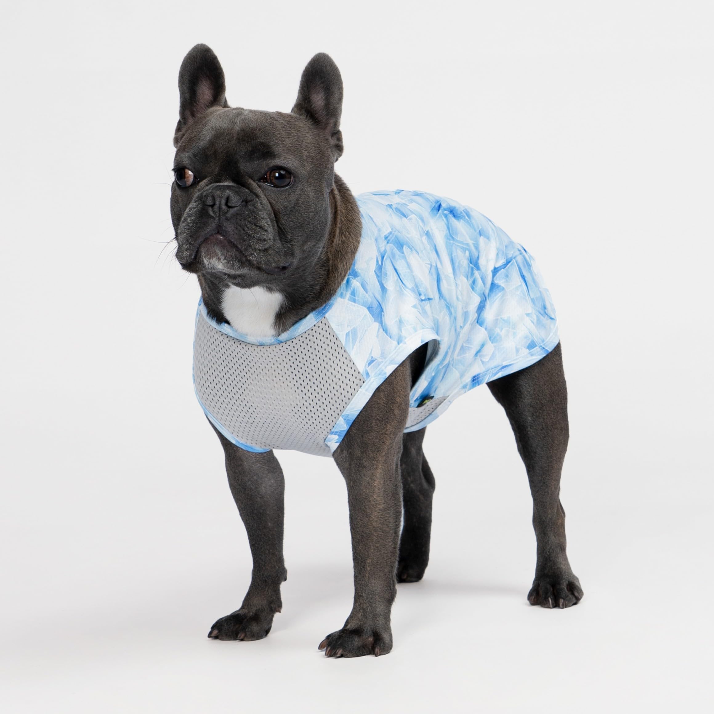 Fitwarm 2 Pack Ice Lemon Upf 50+ Uv Sun Protection Dog Shirt, Lightweight Dog Cooling Vest, Quick Dry Summer Clothes For Small D