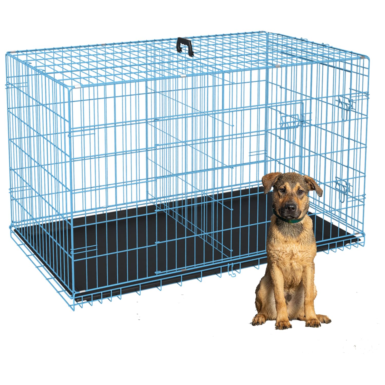 Home For Pets Dog Crate Cage Extra Folding Large Double Door Pet Crate,Includes Divider And Tray,48,Blue