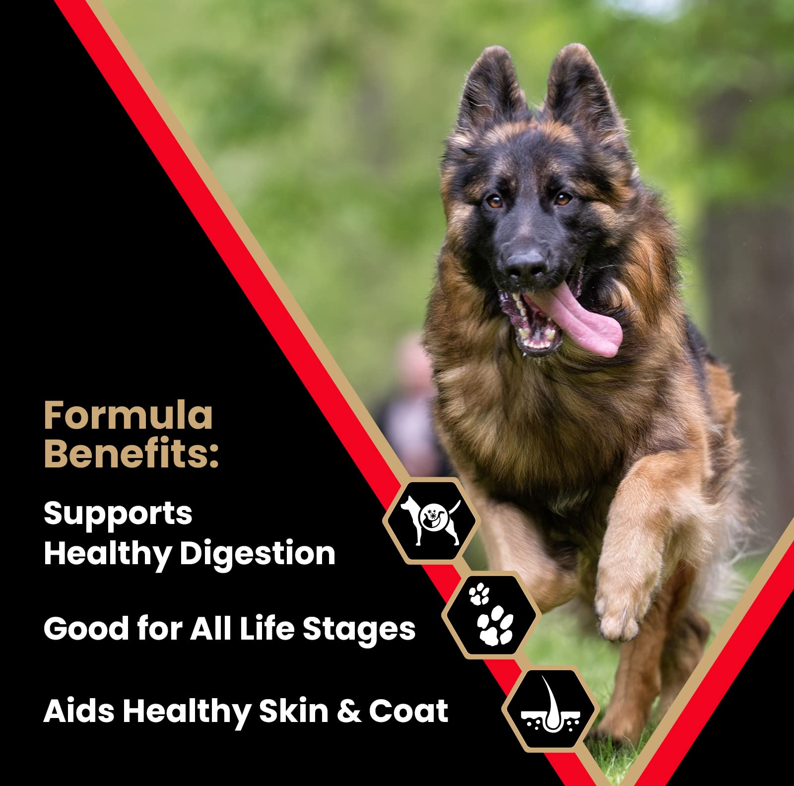 Victor Super Premium Dog Food - High Energy Dry Dog Food for Active Dogs - Gluten Free Dog Food with Beef and Chicken Meal Prote