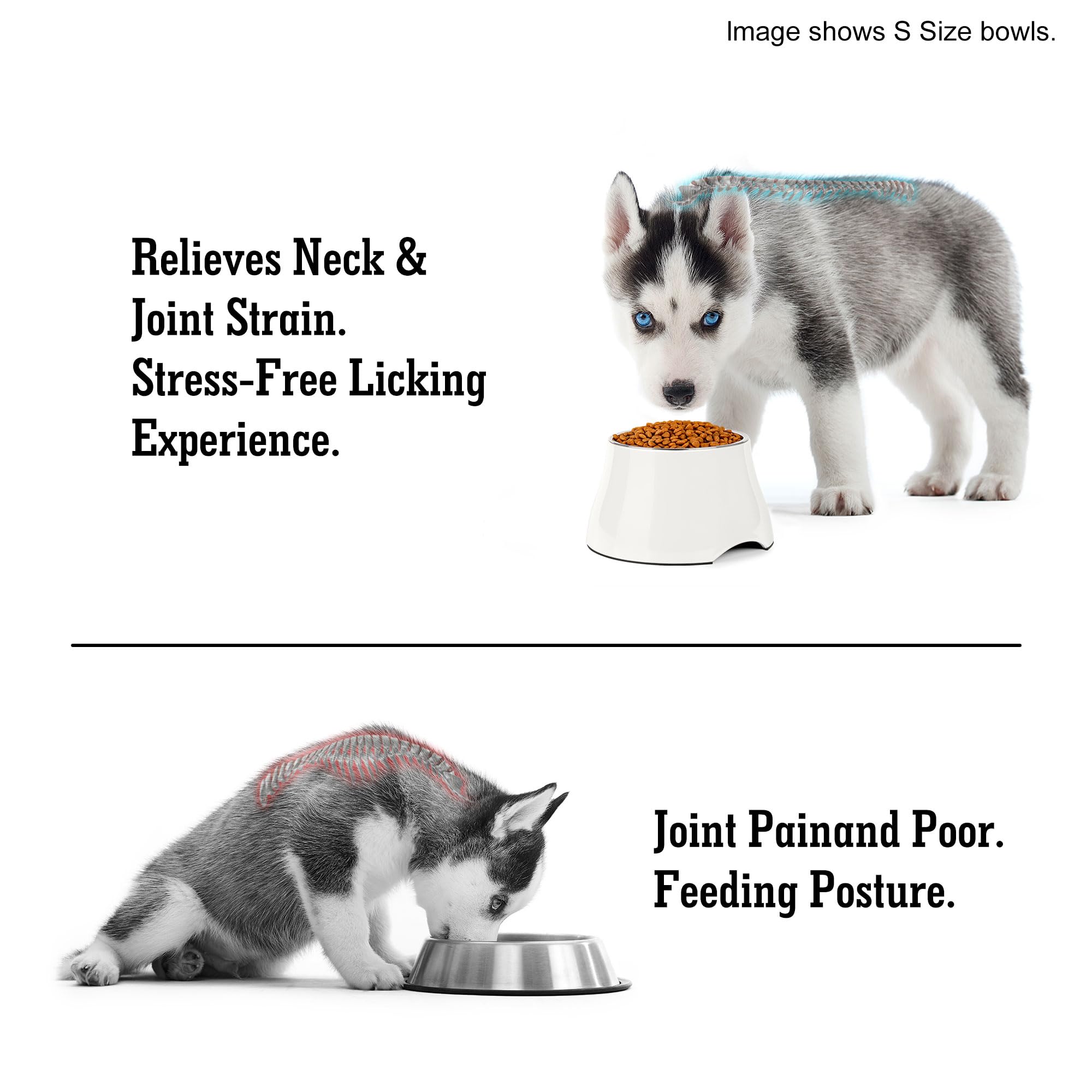 Petvillage Dog Bowls,Cone Friendly Non Slip Single Dog Bowl With Stainless Steel Inner, Raised Bowls For Smll Dogs Spaniel Dogs