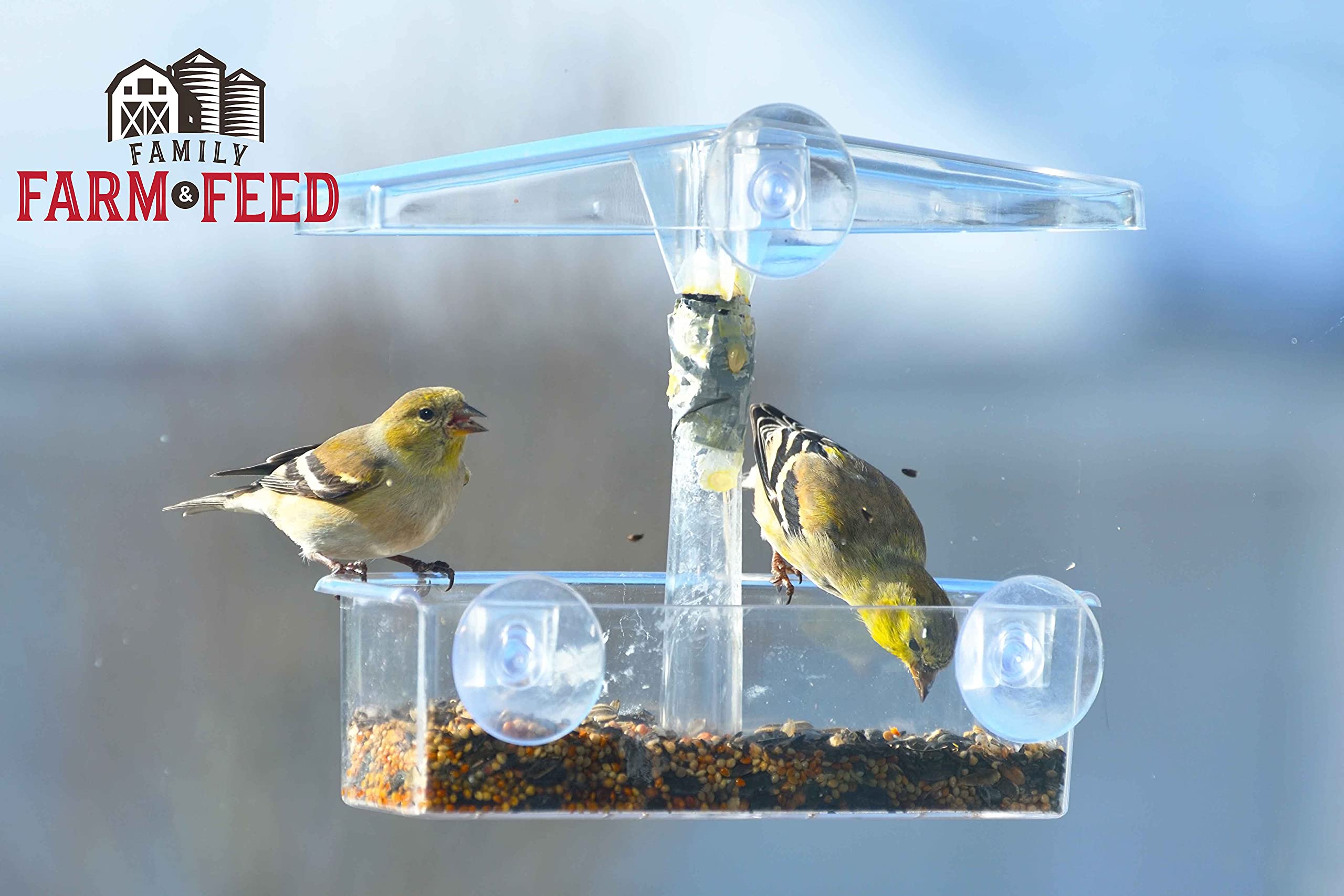 FAMILY FARM AND FEED | Four Season | City Blend | Fancy Wild Bird Food | Backyard Songbird| 4 Pounds
