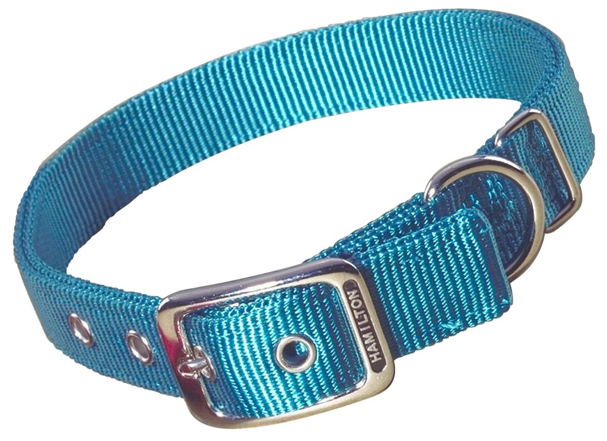Hamilton Thick Nylon Deluxe Dog Collar, 1-Inch by 24-Inch Double, Teal
