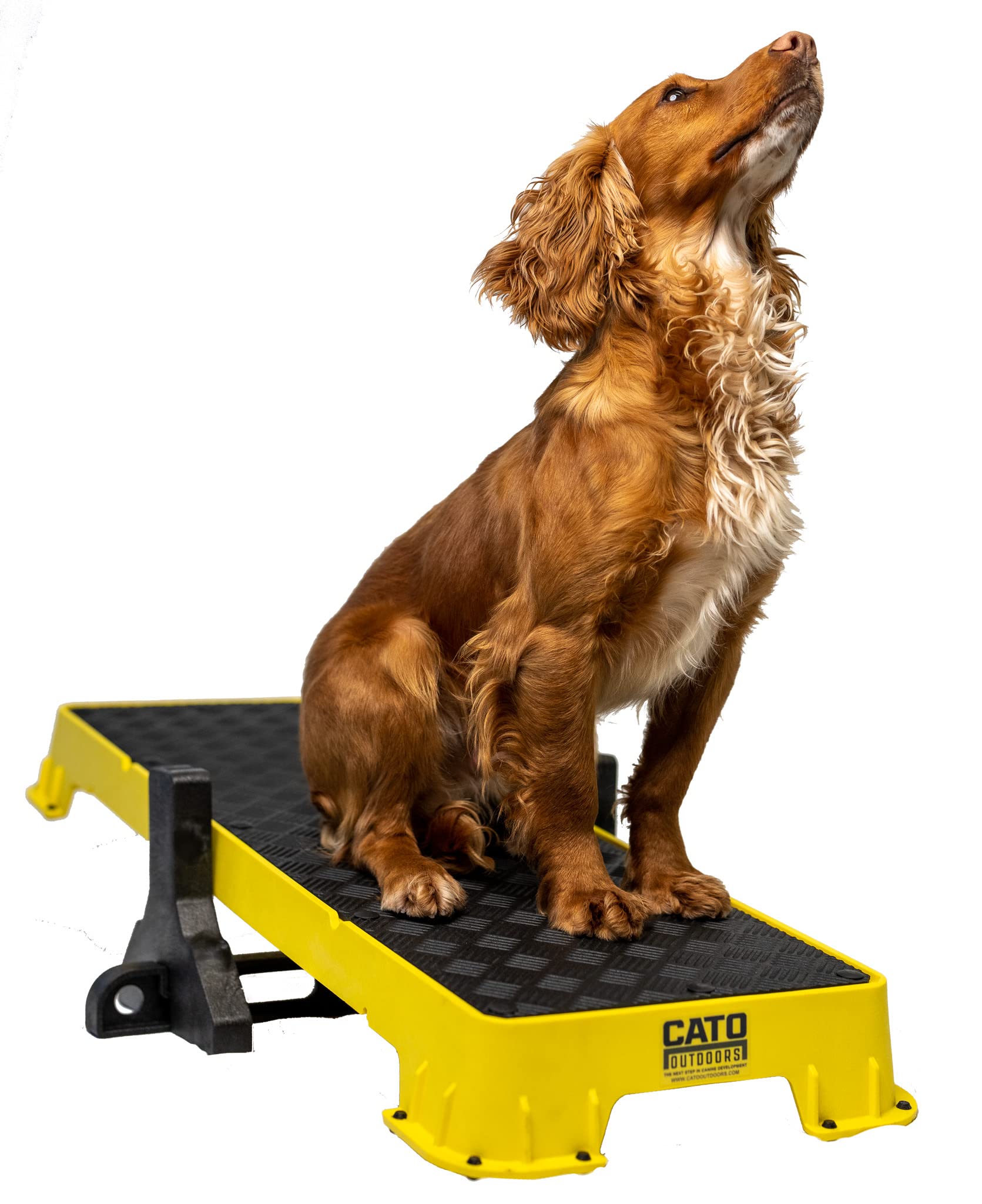 Cato Board Xl - Dog Platform (Yellow, With Tilt Stand)