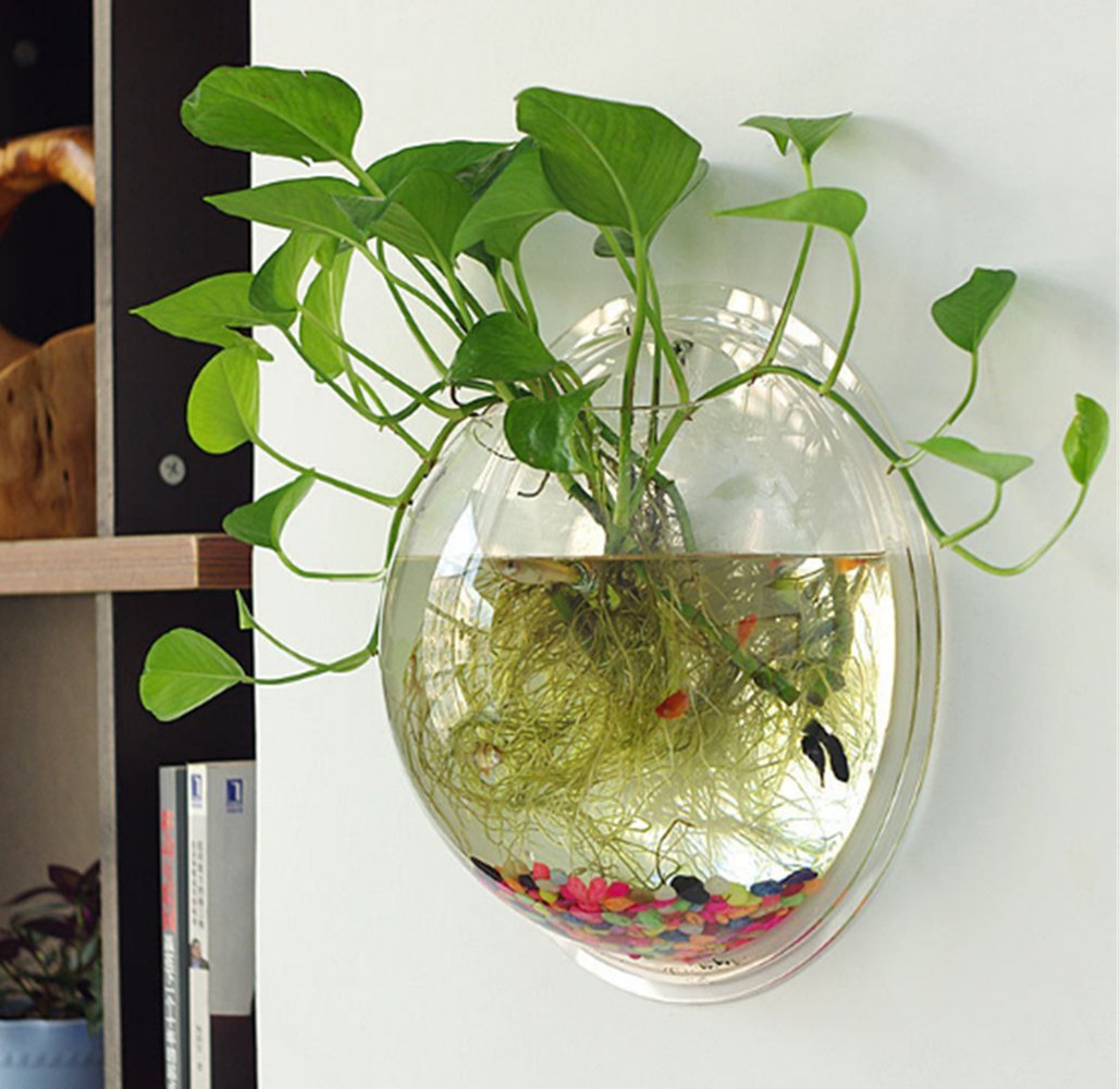 Sweetsea Hanging Wall Mounted 1 Gallon Fish Tank Bowl Aquarium Wall Decor Plant Fish Bubble - Clear (Large)