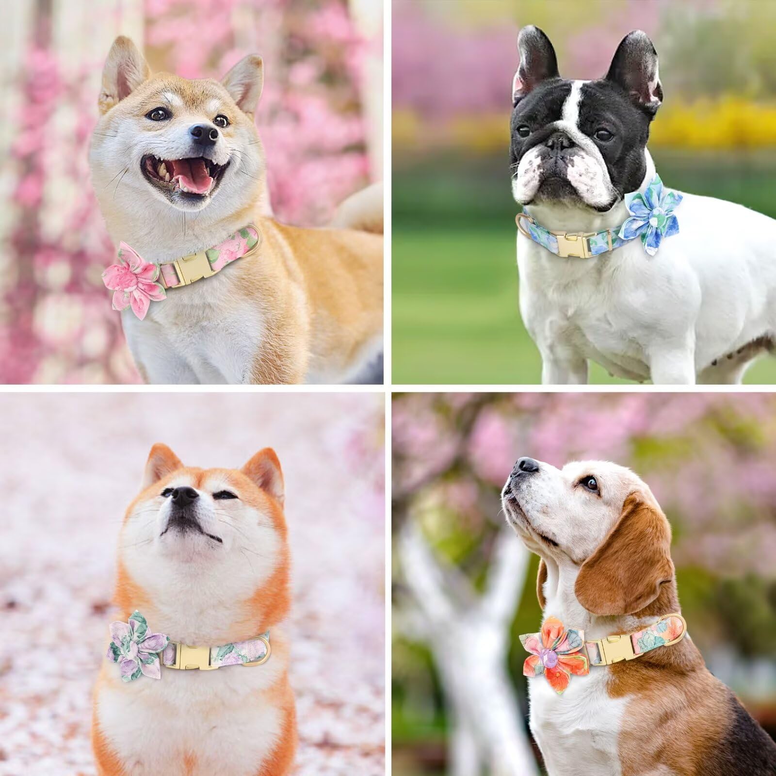Beirui Cute Girl Dog Collars for Female Dogs, Floral Dog Collar with Spring Flower Patterns, Soft Blue Pet Collars for Small Med