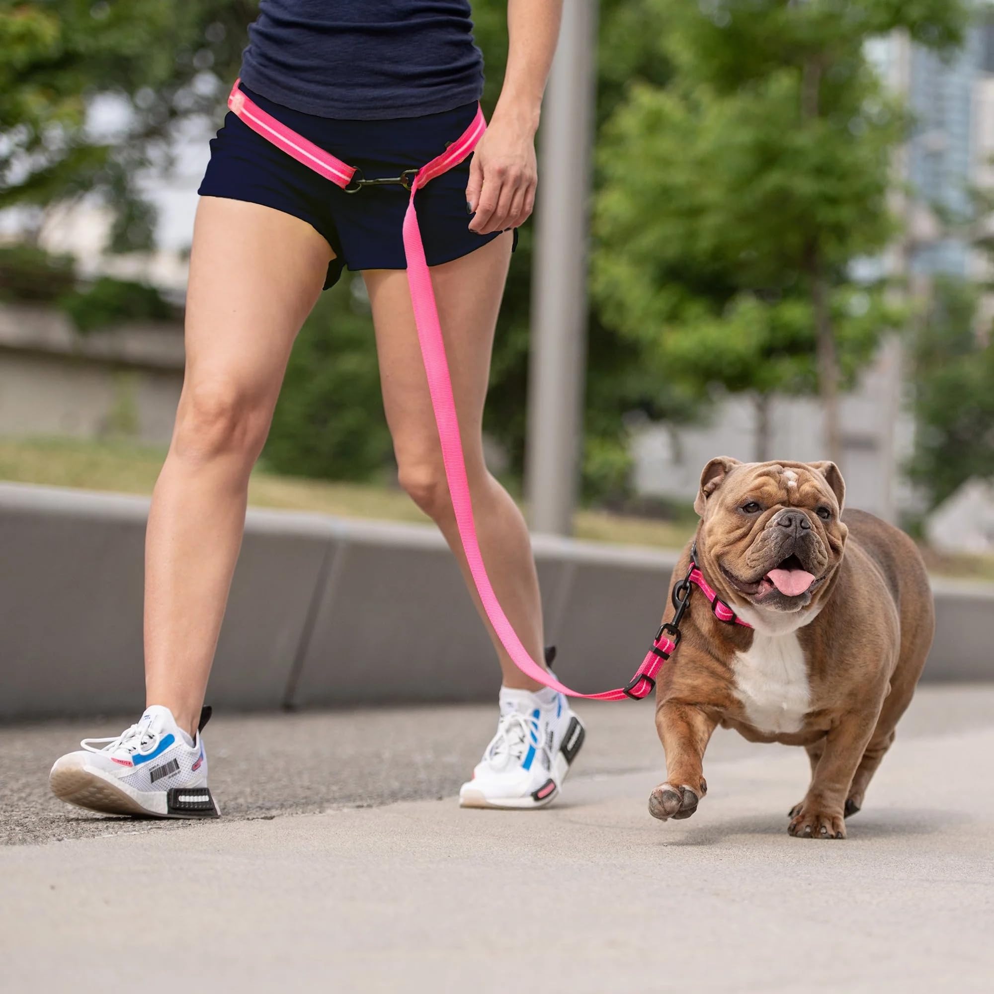 Gf Pet Reflective Eezy Dog Leash, Neon Pink, 6 Ft. Long, 5/8 In. Wide