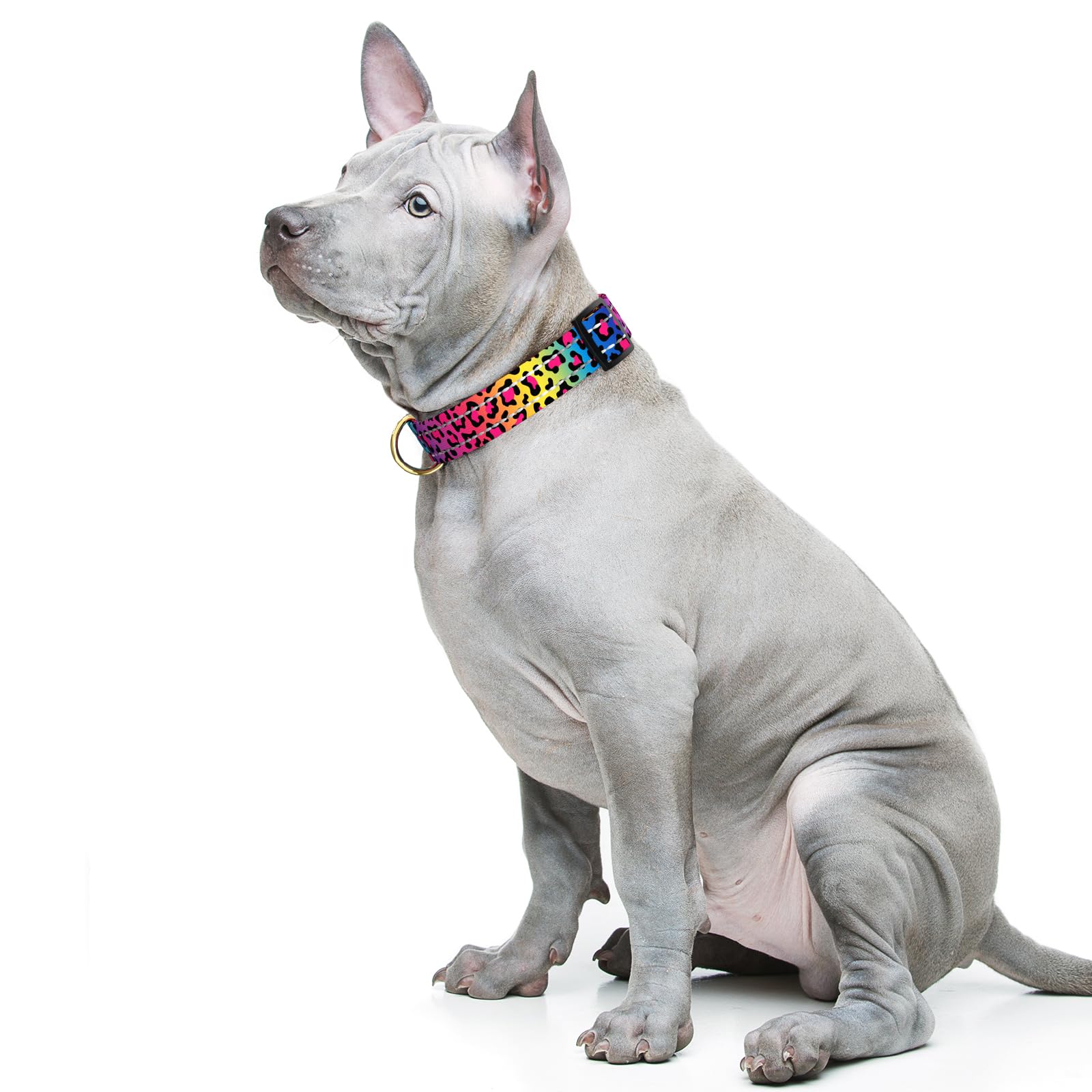 Tmoodel Reflective Dog Collar For Medium Dogs, Cute Leopard Style Adjustable Heavy-Duty Nylon Puppy Collar For Boy And Girl Fema