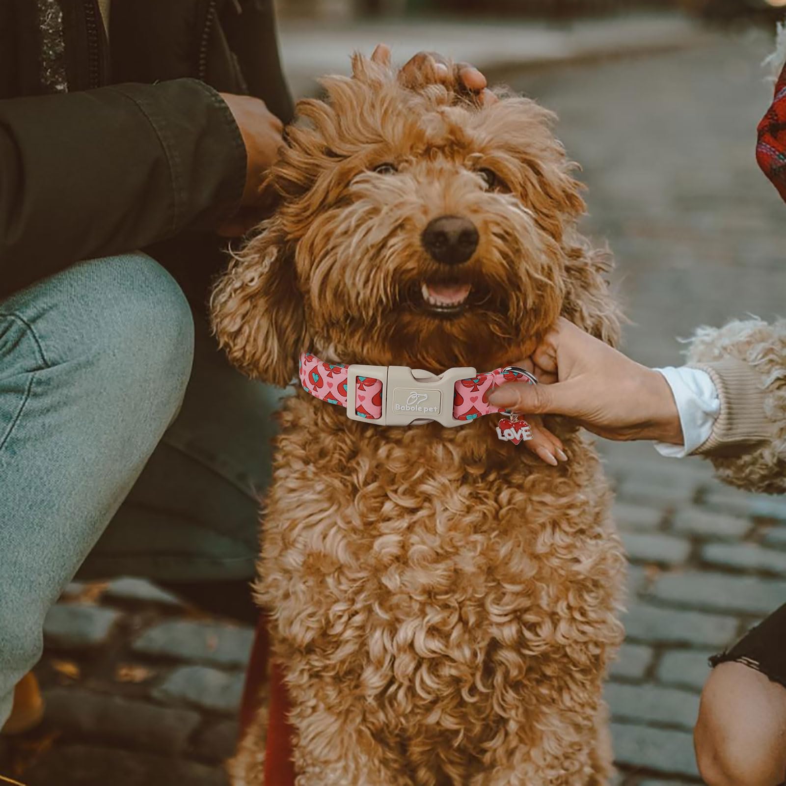 Babole Pet Valentines Dog Collar for Large Dogs - Design Cute Rose Red Valentine Dog Collars Boy Girl Puppy Adjustable Quick Rel