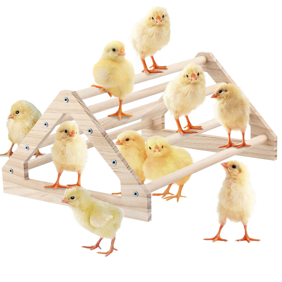 Gintuto Chicken Perch Strong Pine Wooden Chick Jungle Gym Roosting Bar, Chick Perch Toys For Coop And Brooder For Large Bird Baby Chicks Parrot Hens (Large)